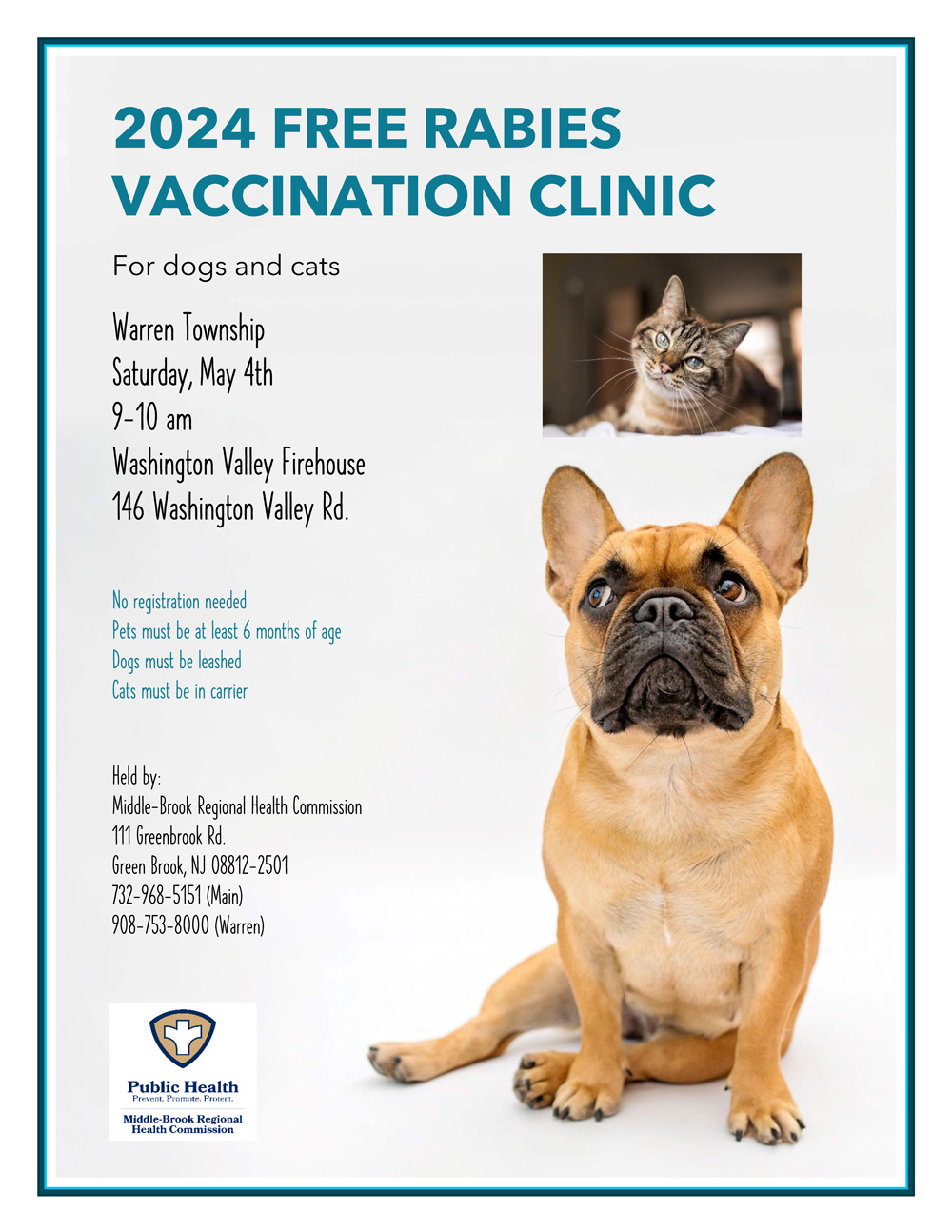 Rabies Clinic Flyer with a grey background and a picture of a tan dog sitting and a tabby cat looking at the camera.